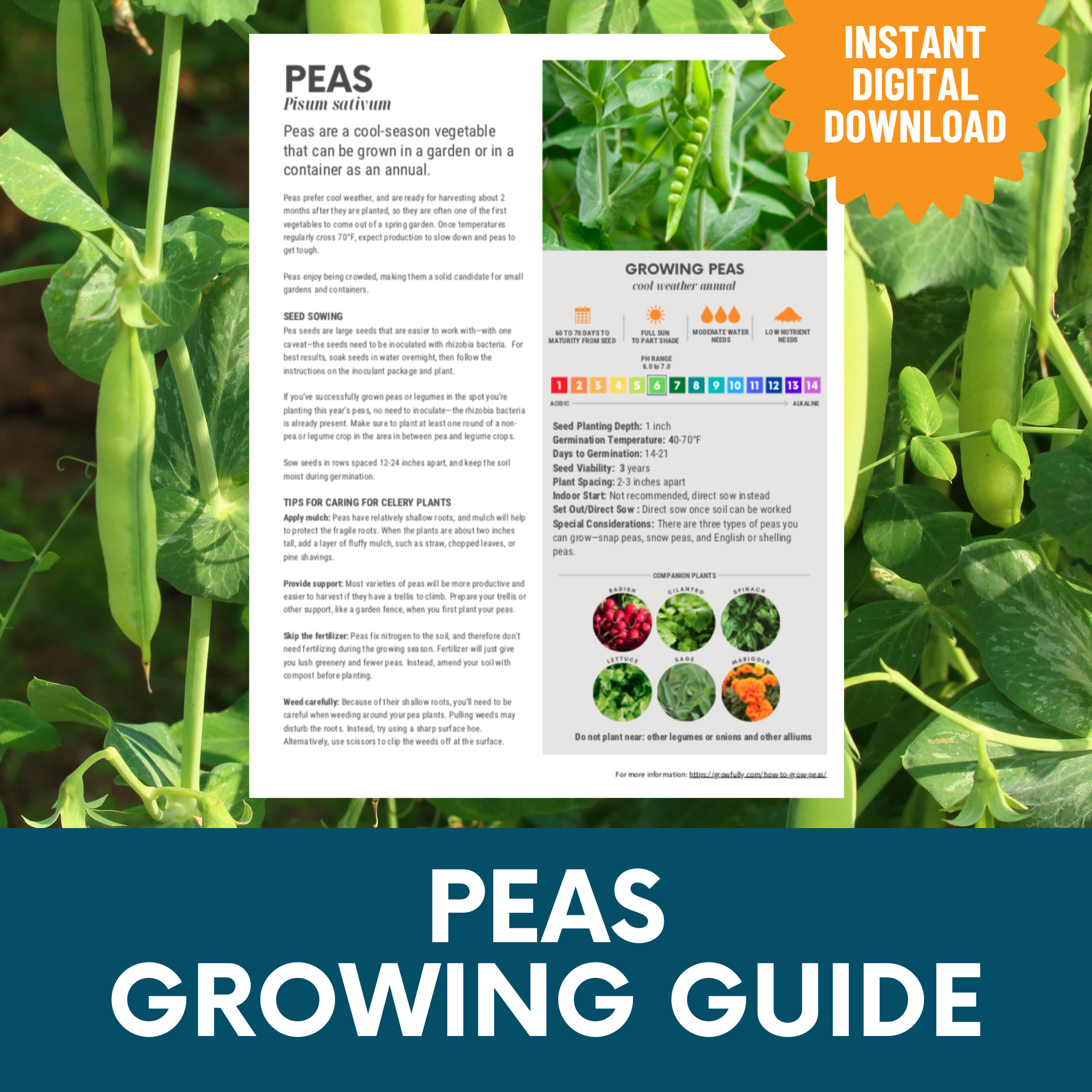 One-Sheet Printable Growing Guides