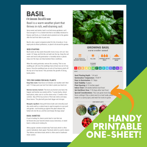 An image of the basil growing guide on a blue background. A green triangle with white text reads "Handy Printable One-Sheet!"