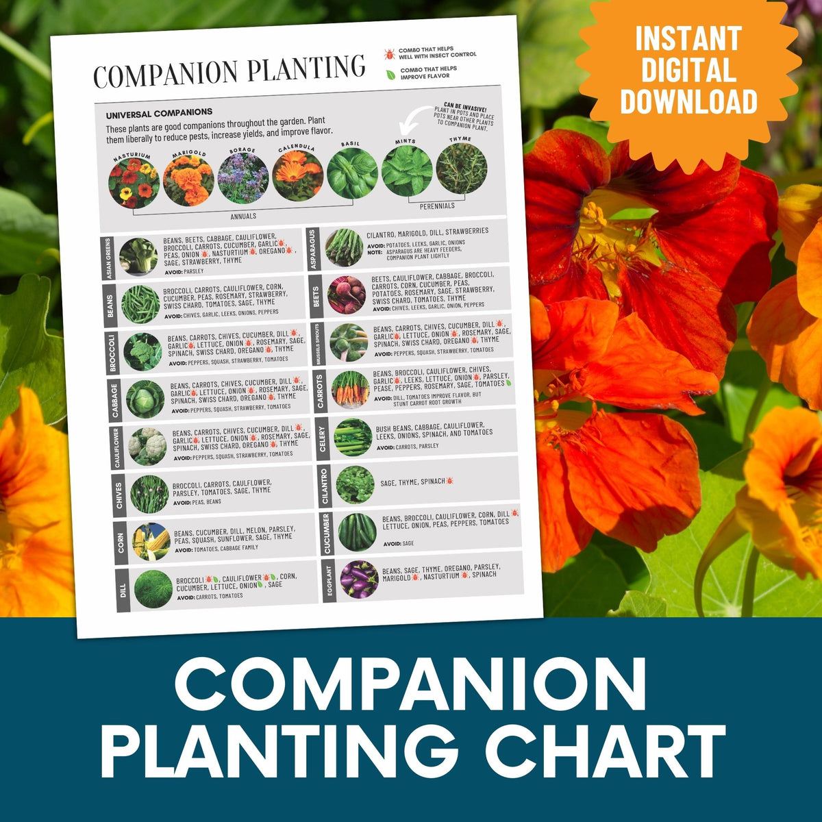 Companion Planting Chart—Garden Journal Pages – Growfully