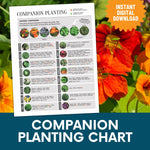 Load image into Gallery viewer, Companion Planting Chart—Garden Journal Pages

