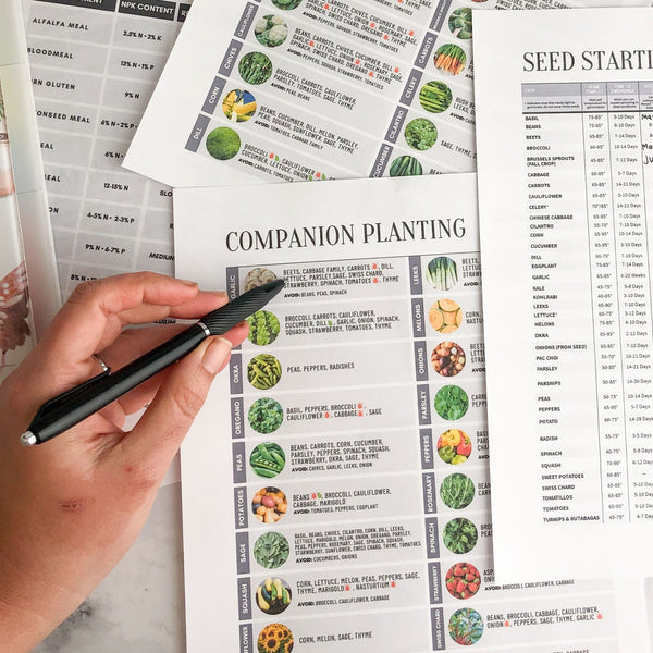 Companion Planting Chart—Garden Journal Pages – Growfully companion-planting-chart-garden-journal-pages-growfully