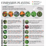 Load image into Gallery viewer, Companion Planting Chart—Garden Journal Pages
