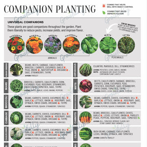 Companion Planting Chart—Garden Journal Pages