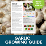 Load image into Gallery viewer, One-Sheet Printable Growing Guides
