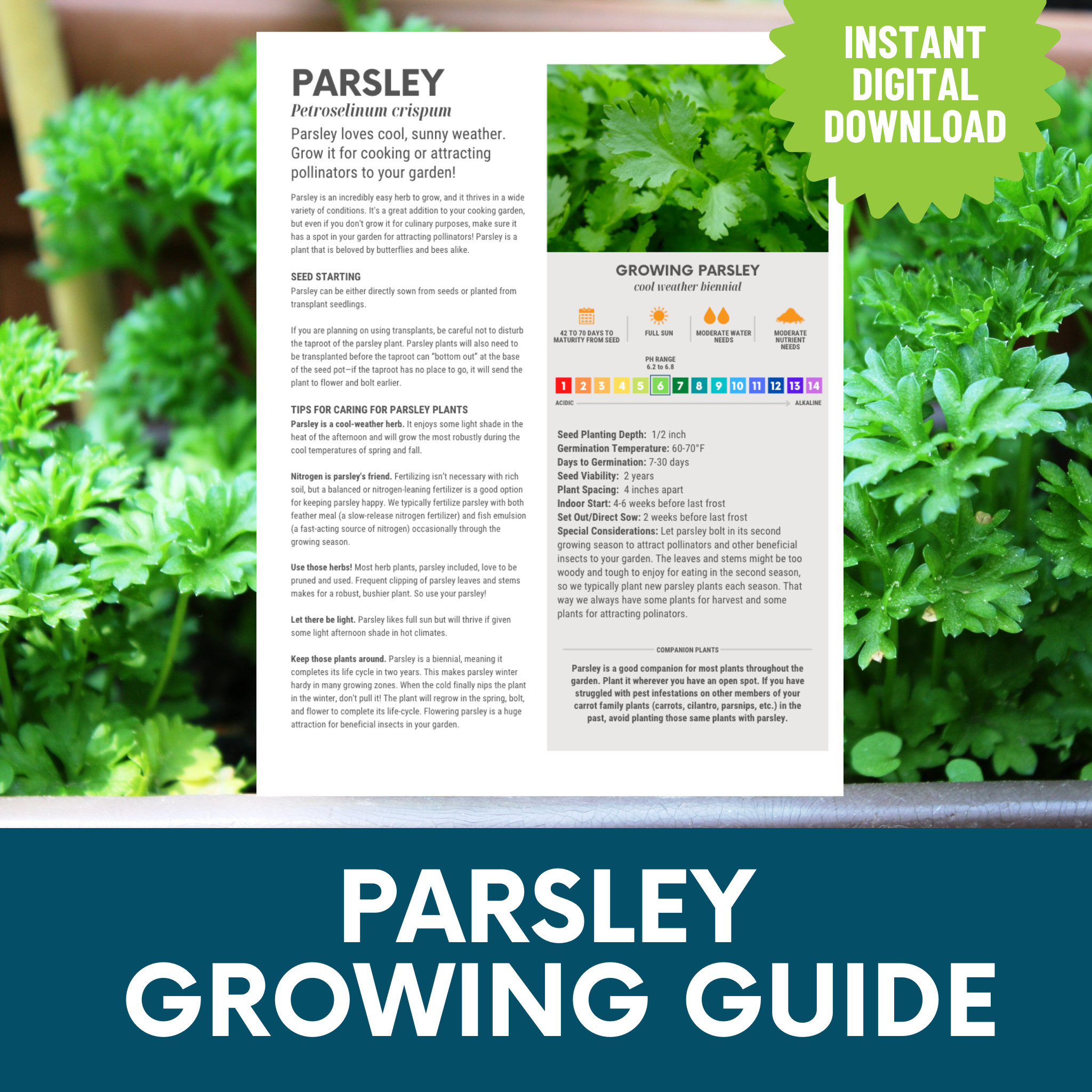 One-Sheet Printable Growing Guides